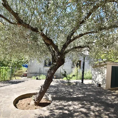 Bilocale Marina - Terrazza, Clima E Giardino * Marina di Campo